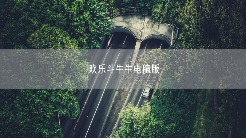 欢乐斗牛牛电脑版：畅享多人对战与精彩游戏策略体验