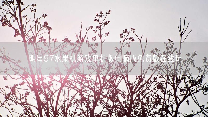 明星97水果机游戏：单机电脑免费版在线畅玩！