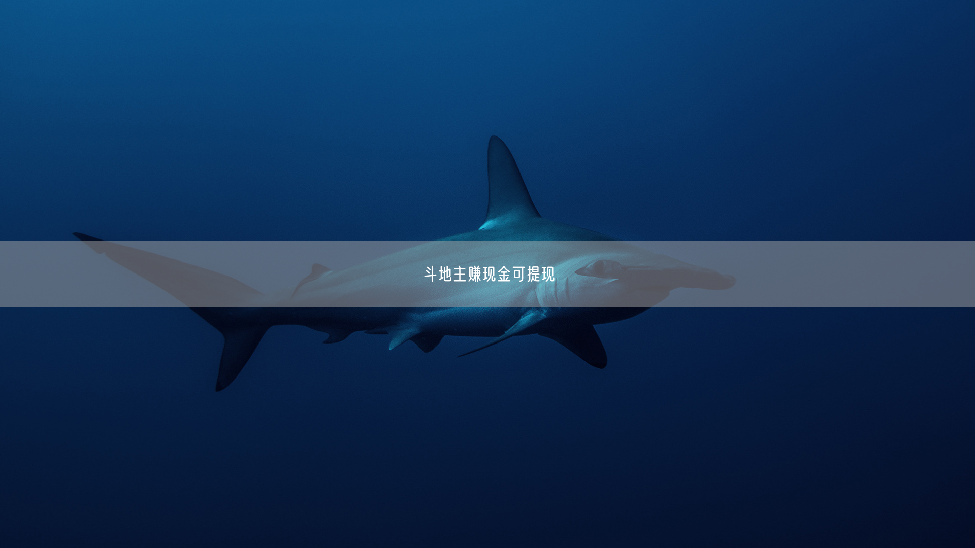斗地主赚现金可提现
