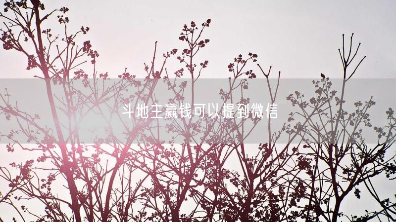 斗地主赢钱可以提到微