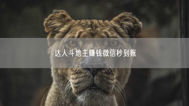 达人斗地主赚钱微信秒