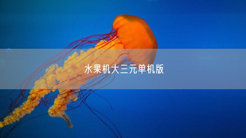 水果机大三元单机版