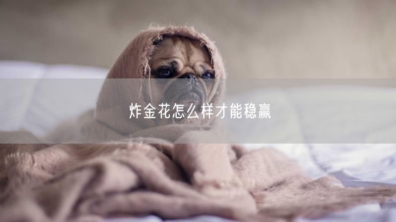 炸金花怎么样才能稳赢