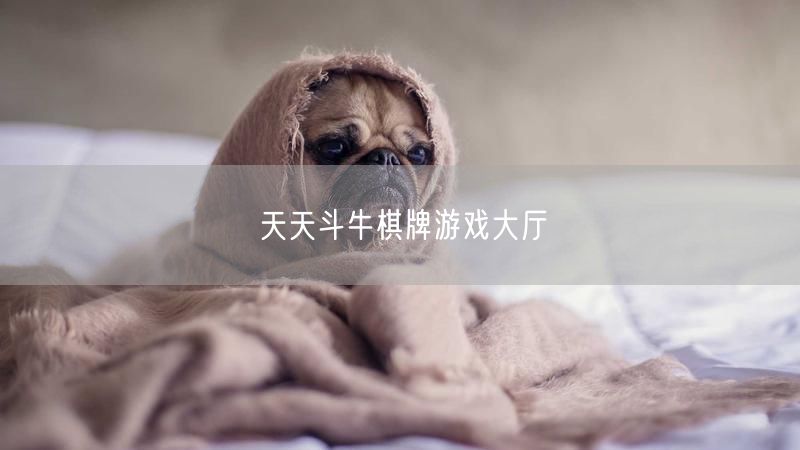 天天斗牛棋牌游戏大厅