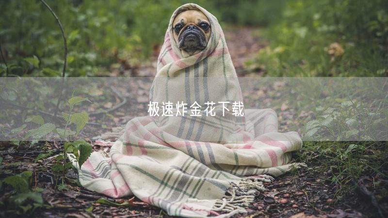 极速炸金花下载