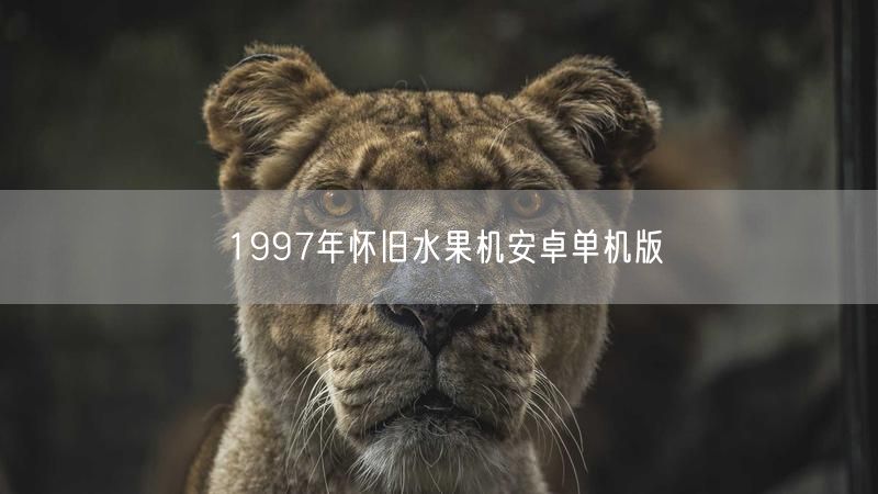 1997年怀旧水果机安卓单机版
